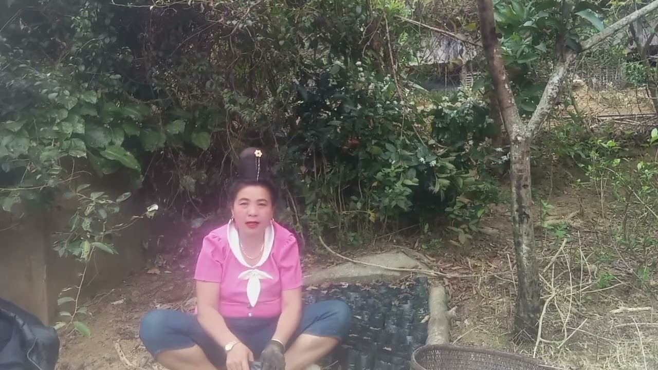 20 tháng 2, 2026