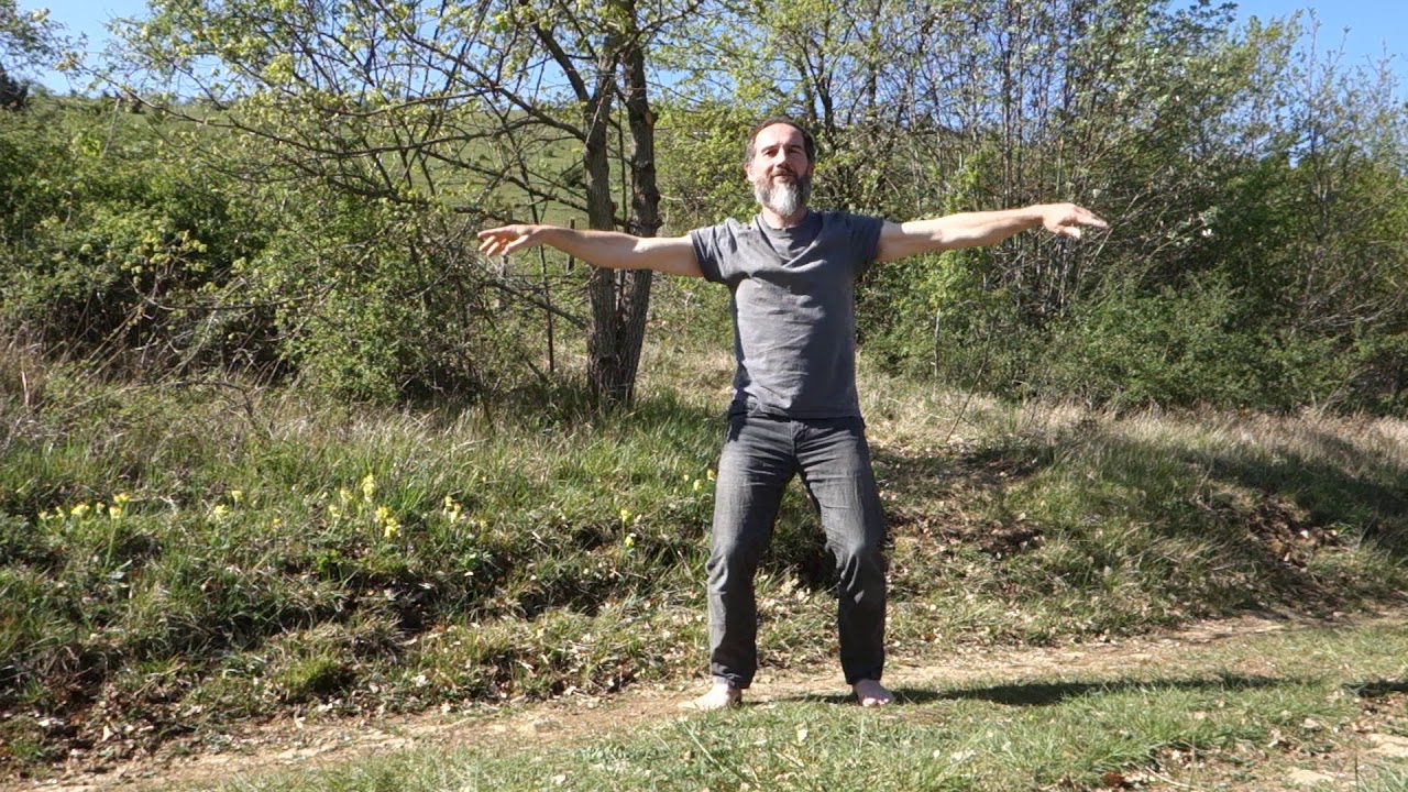 Ziran Qi Gong 5 éléments