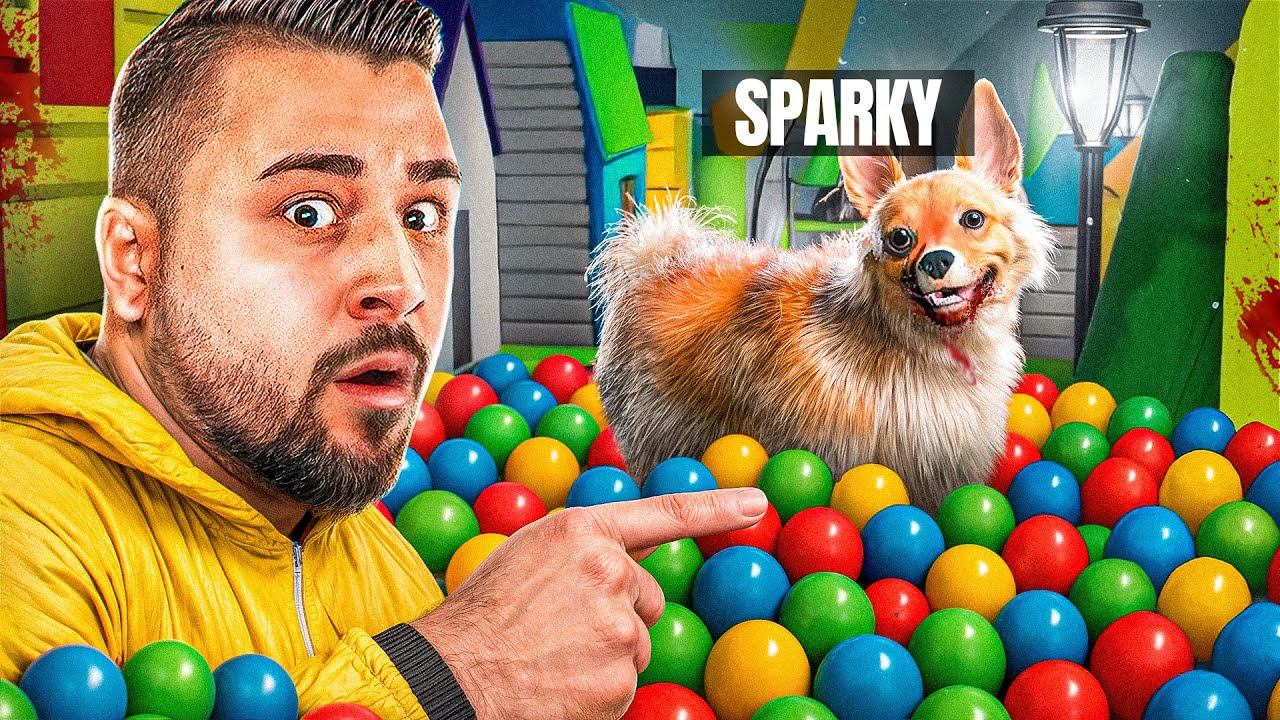 Einen HUND in KIDSROOMS finden.. (The Classrooms Update)