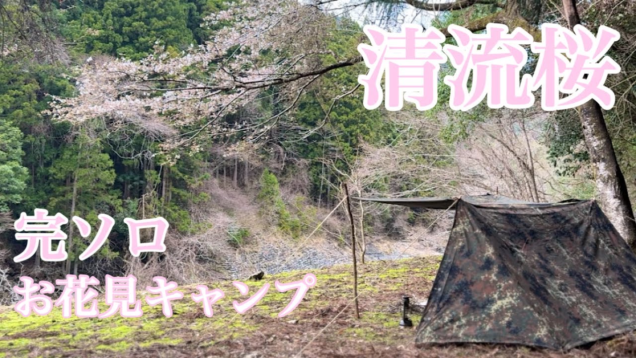 [ソロキャンプ] 渓谷のキャンプ村で完ソロお花見キャンプ/ドイツ軍幕/キャンプ飯