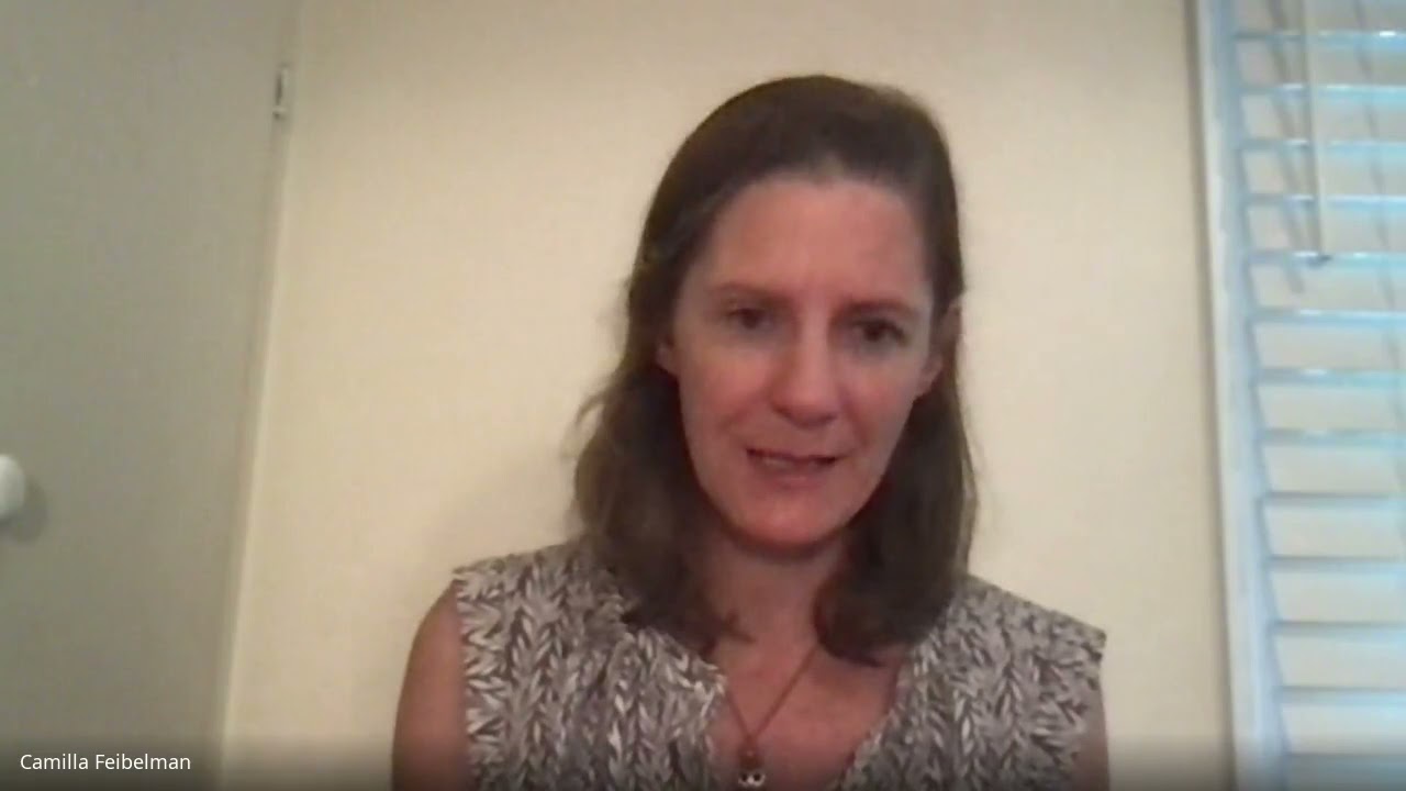 Policy update by Camilla Feibelman for Distributed Energy Summit 2021