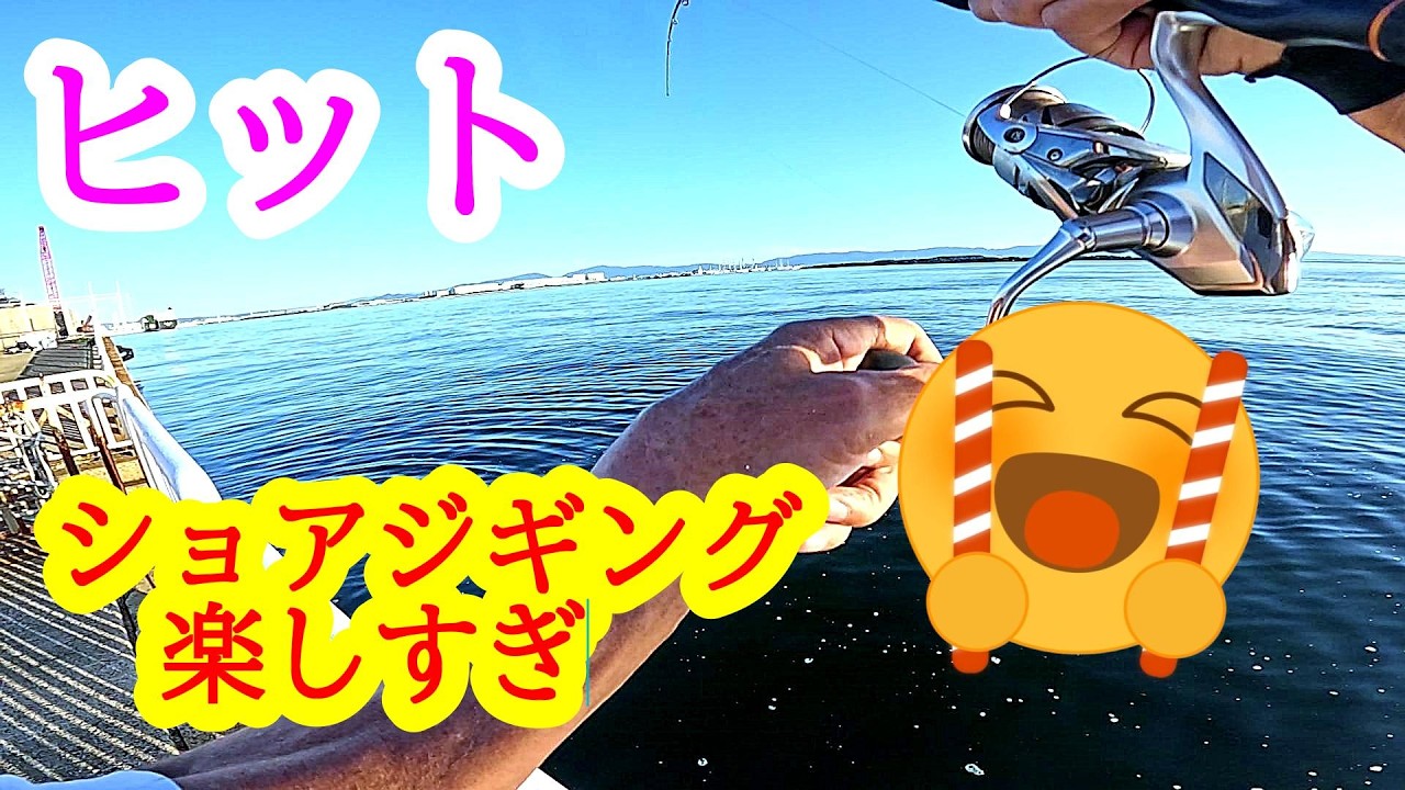 #497 大阪湾ルアー釣り　大物サワラ　特大ブリも今がチャンス　サゴシはいっぱいいてます　#釣り初心者 #釣れるルアー #大阪湾 #ルアー釣り #サゴシ #ショアジギング #サワラ