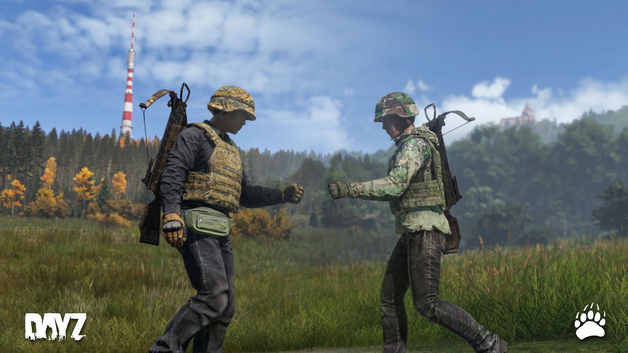 DayZ Official Ps5