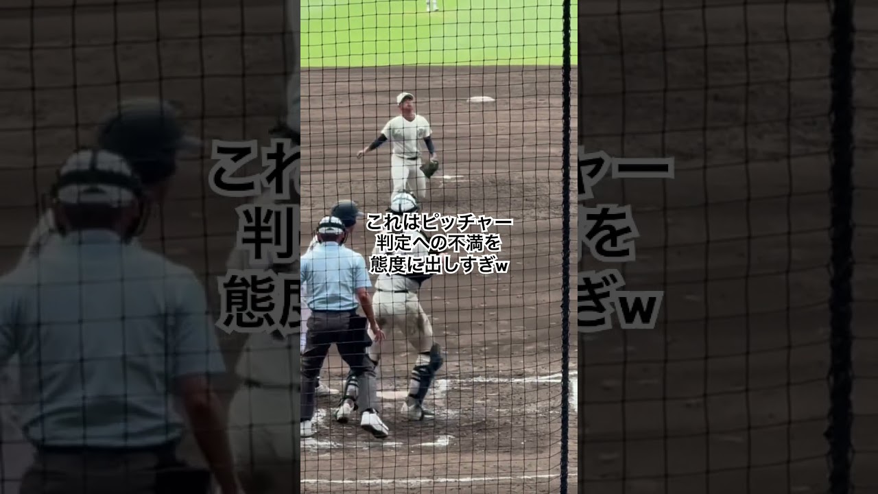 この後、球審が胸ぐらを掴みに行きました #甲子園 #高校野球 #沖縄尚学 #日大三