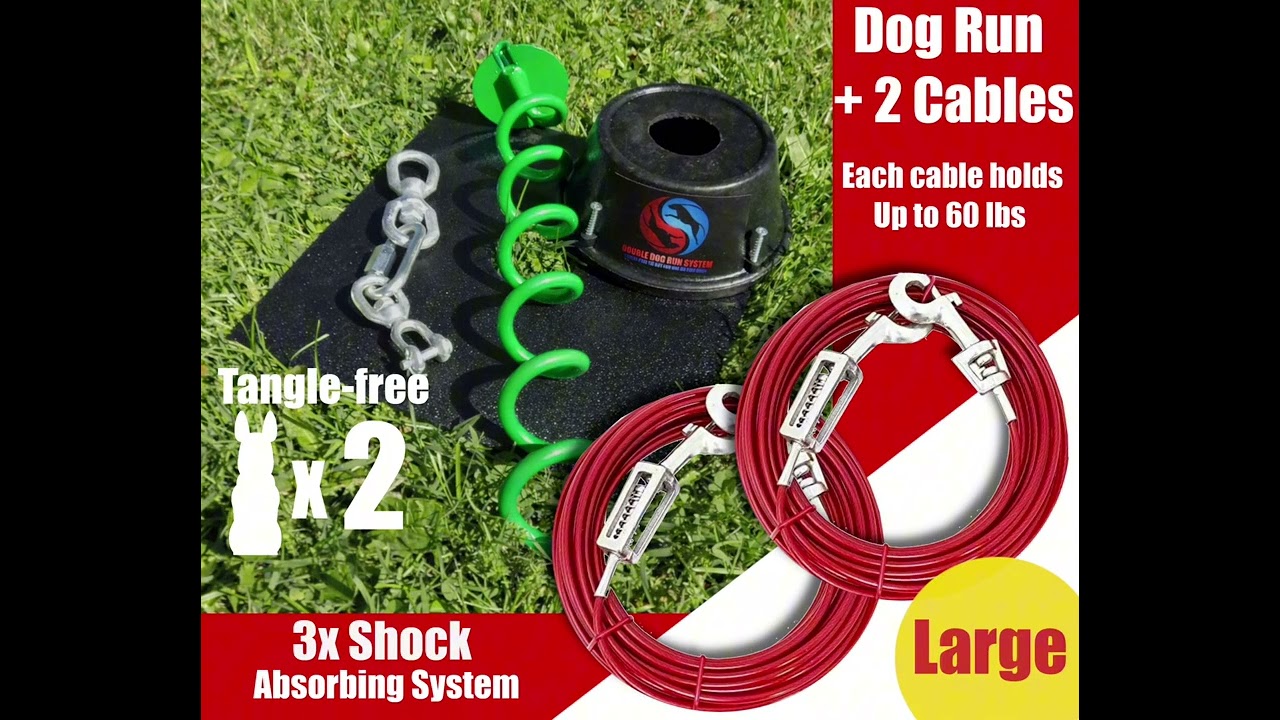 Best Dog Tie Out for Large and Medium Dogs