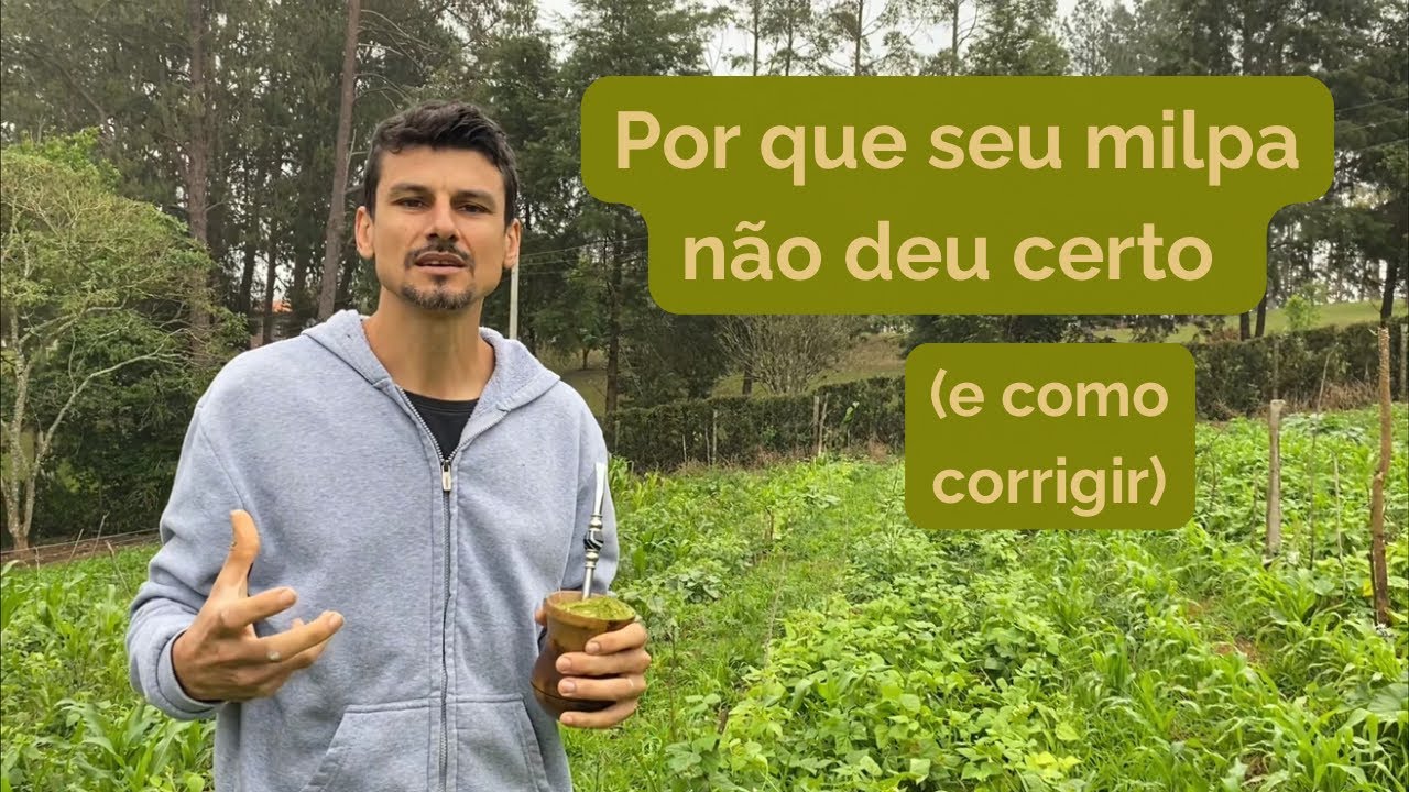 Terça do Milpa! Veja onde plantar a abóbora — isso faz toda a diferença