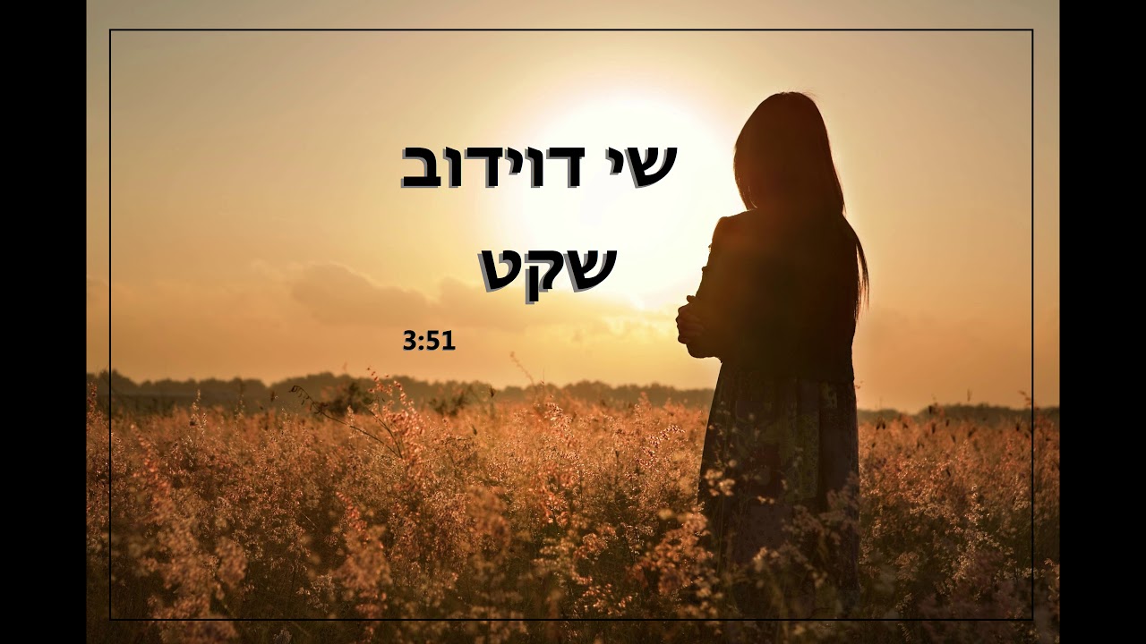 שי דוידוב | שקט | קאבר | shay davidov