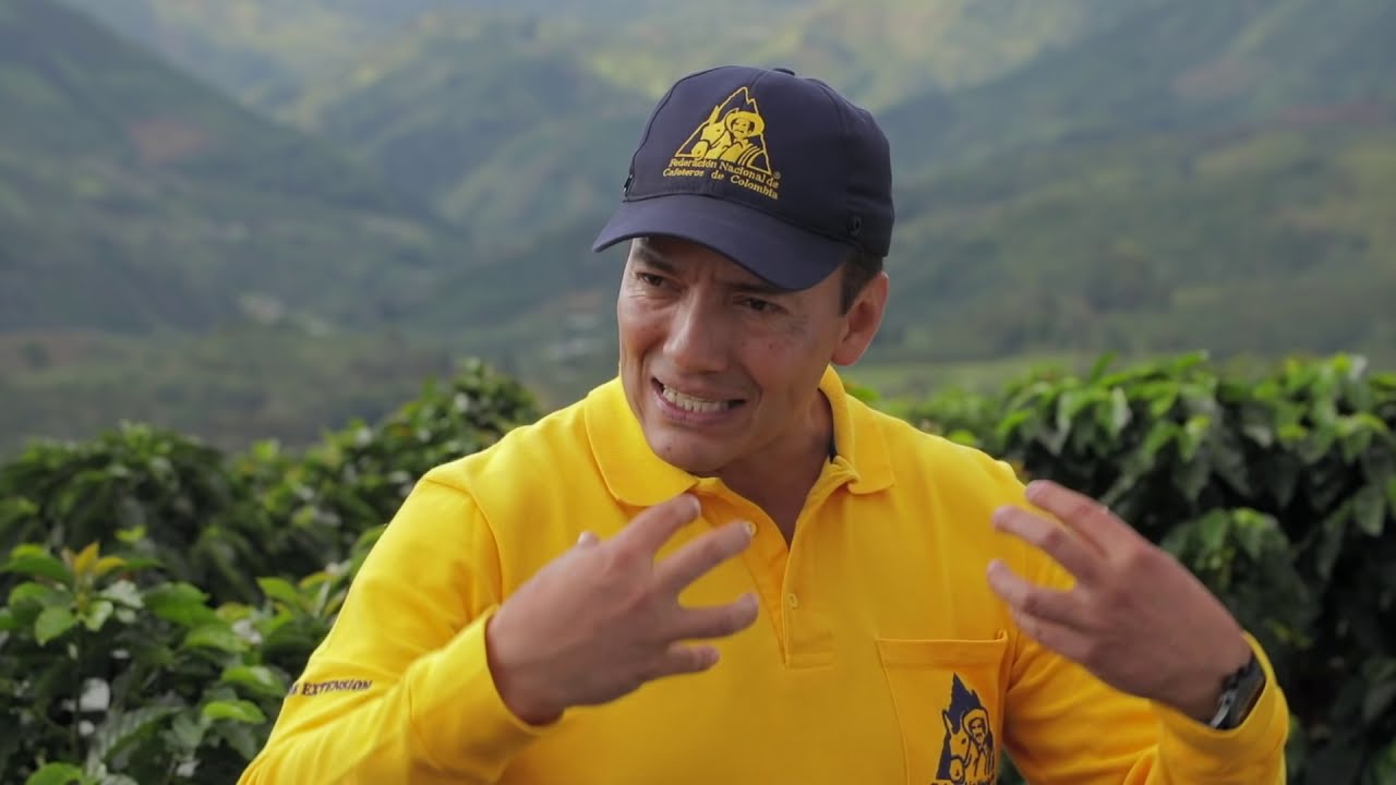 LAS AVENTURAS DEL PROFESOR YARUMO: ACEVEDO, HUILA