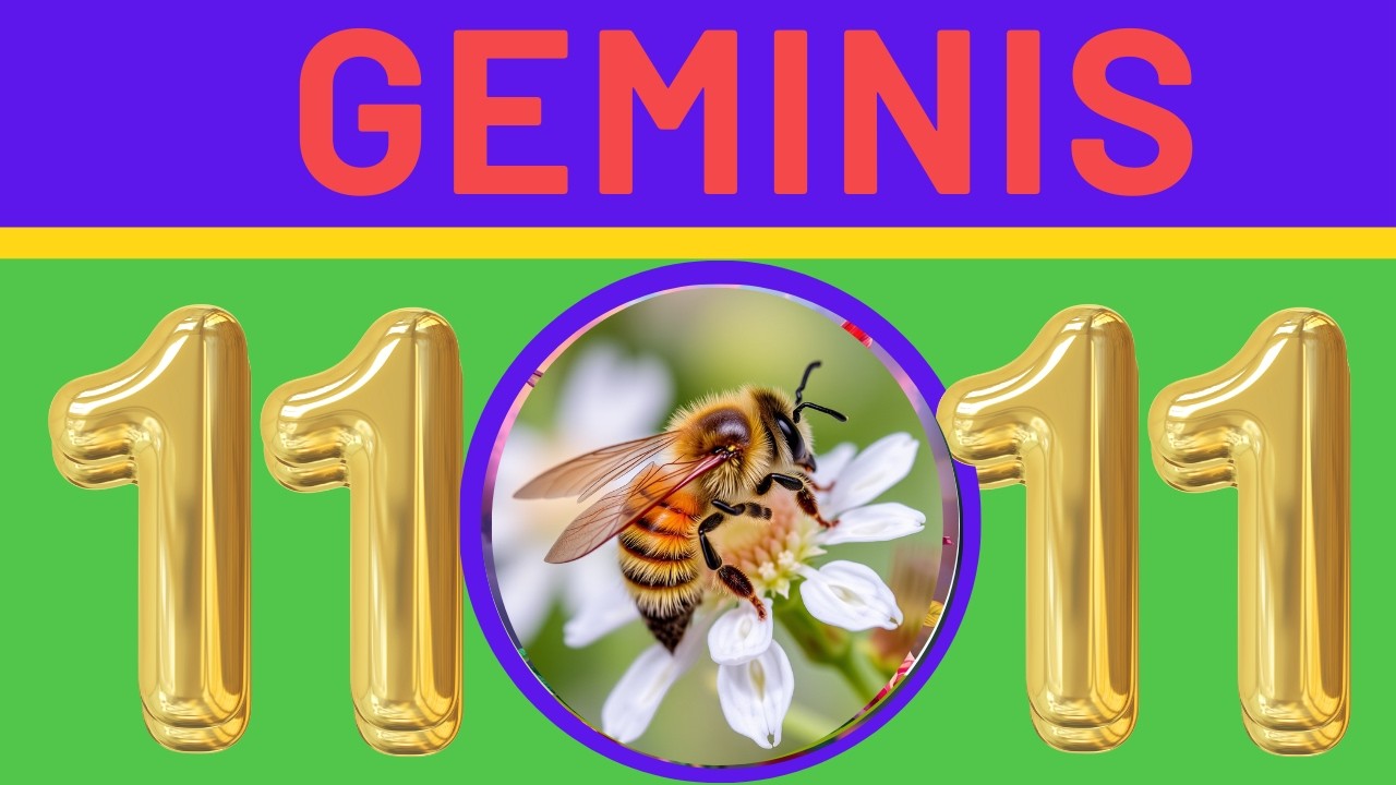GOLPE DE SUERTE GEMINIS ♊NO LE CUENTES ESTO A NADIE ✅💸🎁📞🙏🎉👄🎁 HOROSCOPO❤️ORACULO TAROT DE CRIS
