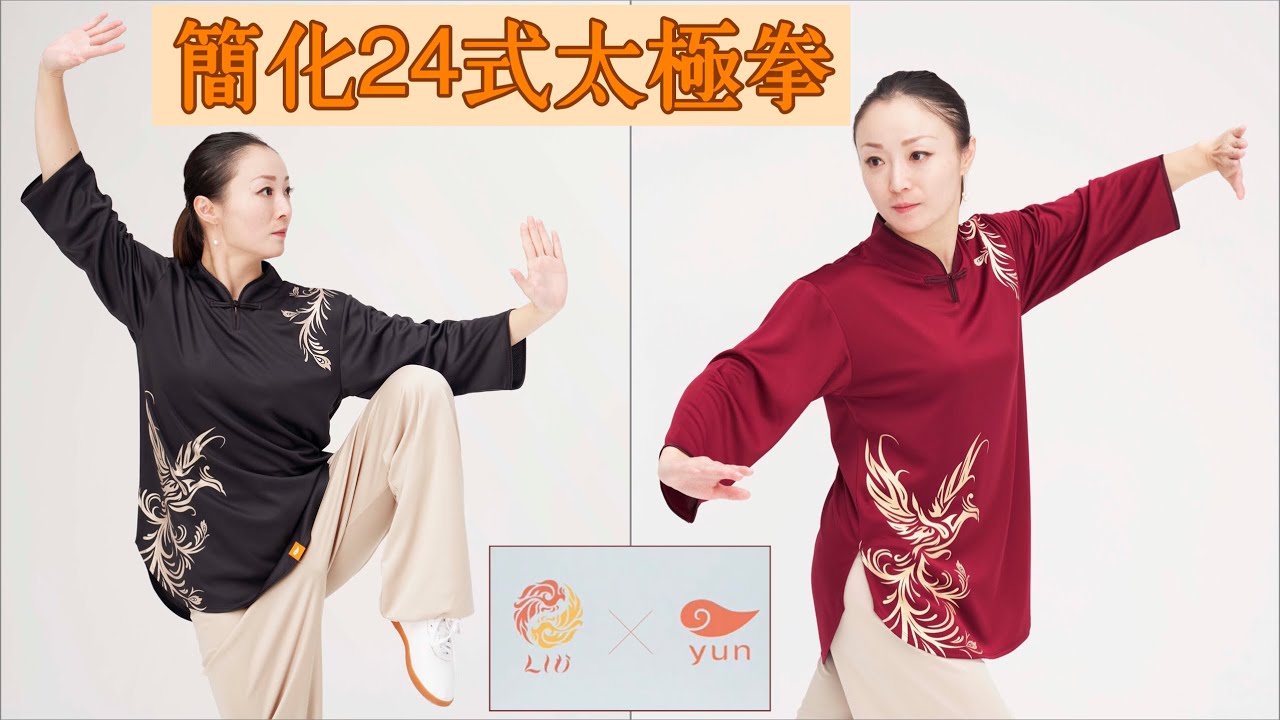 簡化24式太極拳 YUN×中国チャンピオン劉一丁