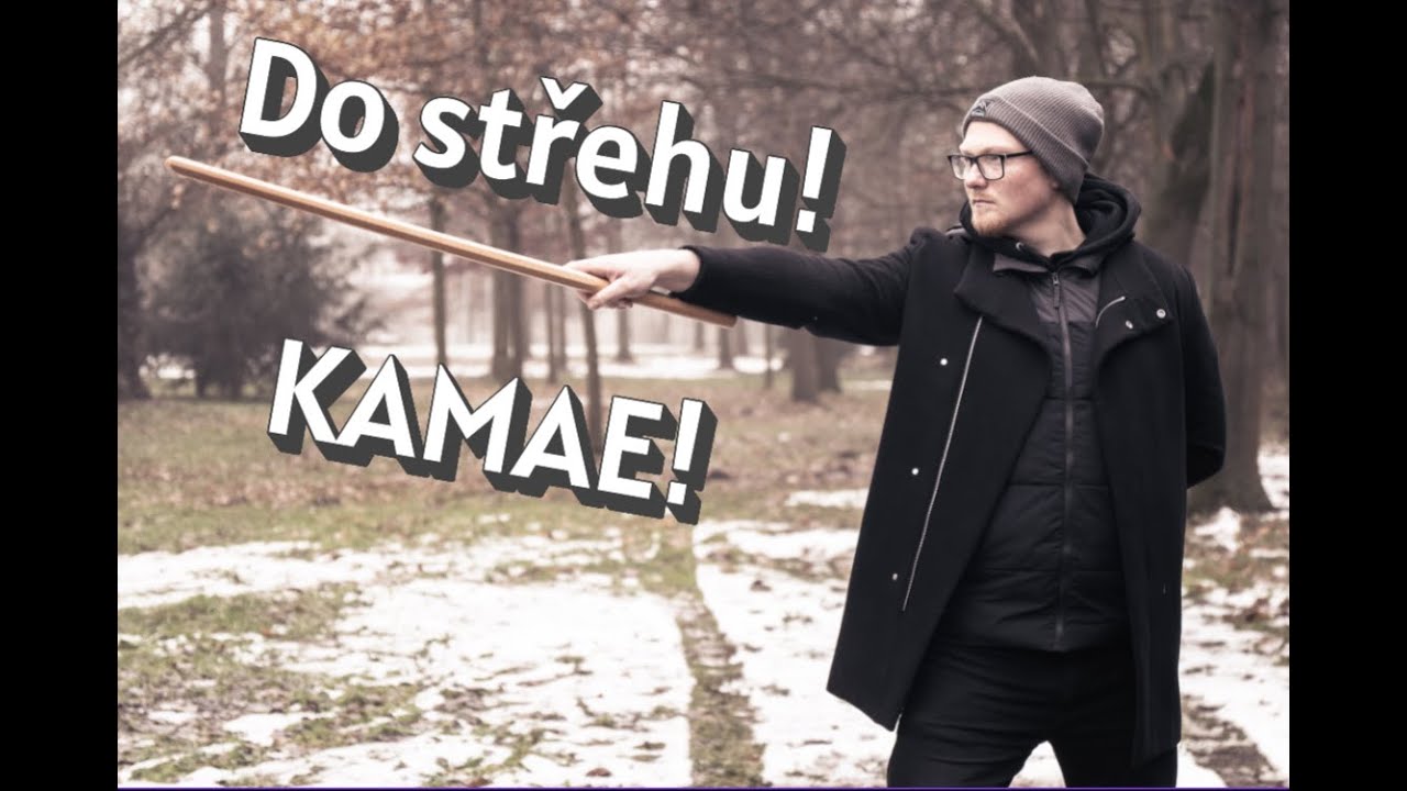 Kamae - postoje