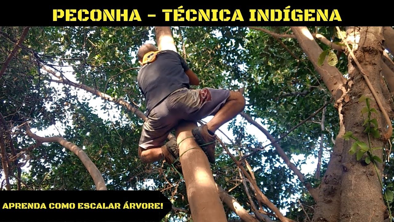PECONHA - TÉCNICA INDÍGENA
