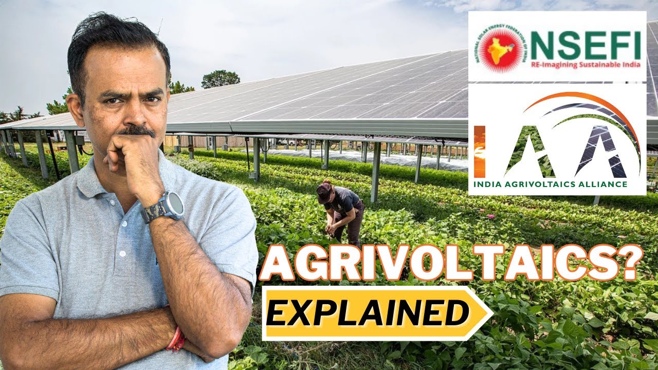 Agrivoltaics: How solar panels are changing agriculture - Solar is my passion
