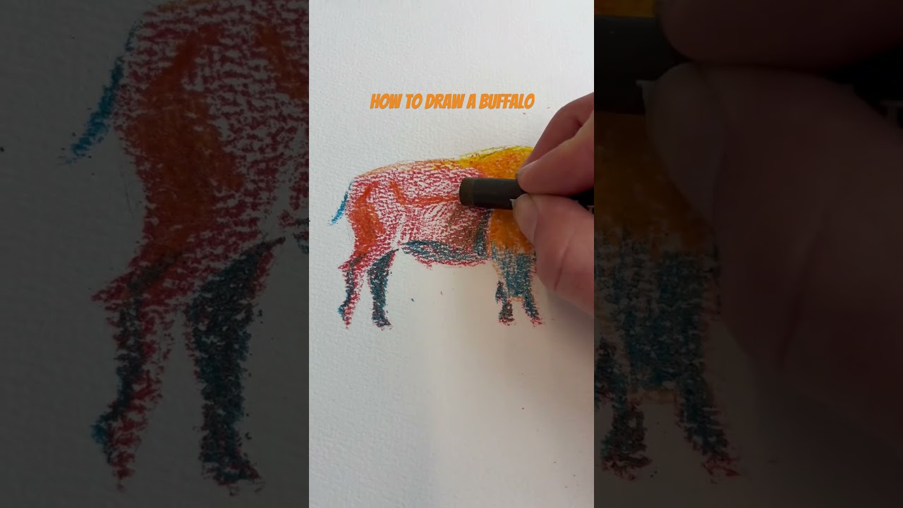 How to draw a buffalo #music #beginnerarttips #drawinglessons #myartistlife