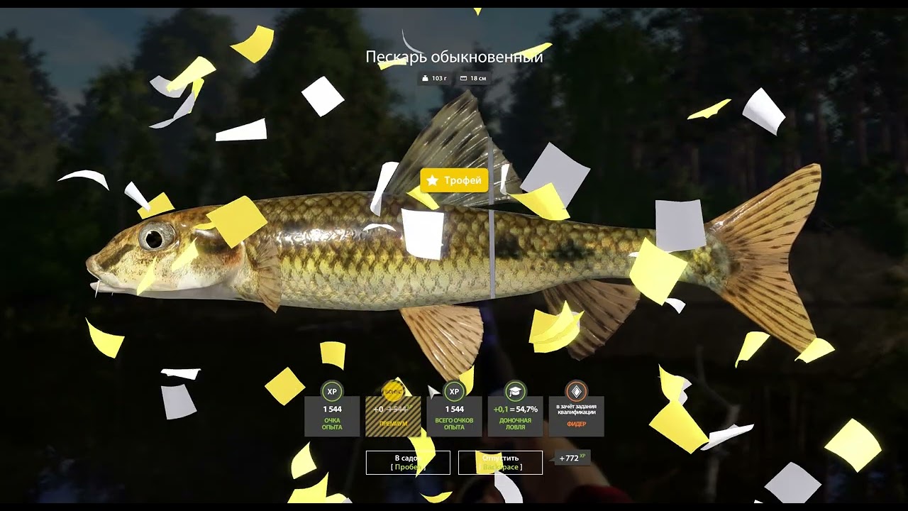 фарм пескаря на вьюнке