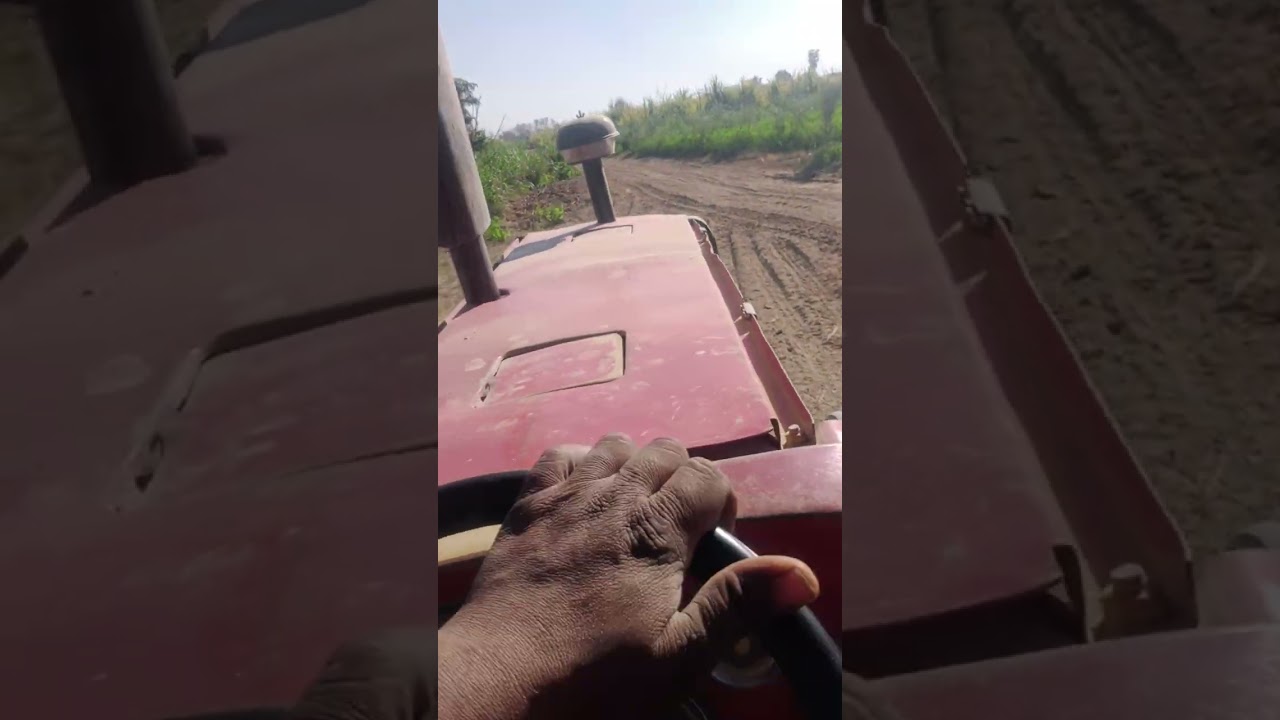 Inshallah viral video