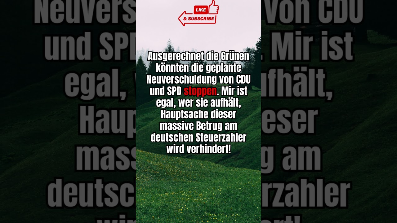 Gr&uuml;ne stoppen Schuldenpaket? #shorts #shortsfeed #shortvideo #afd #politik #deutsch #foryou #fyp