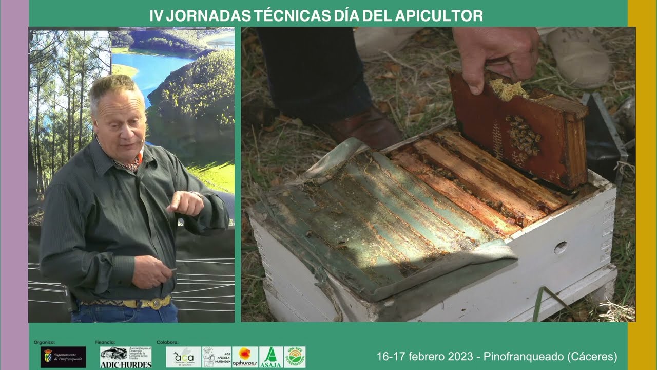 Importancia de criaderos de abejas reinas profesionales en el sector apícola - IV Día del Apicultor