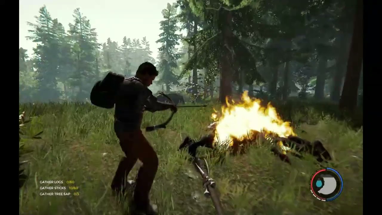 The forest with ash
