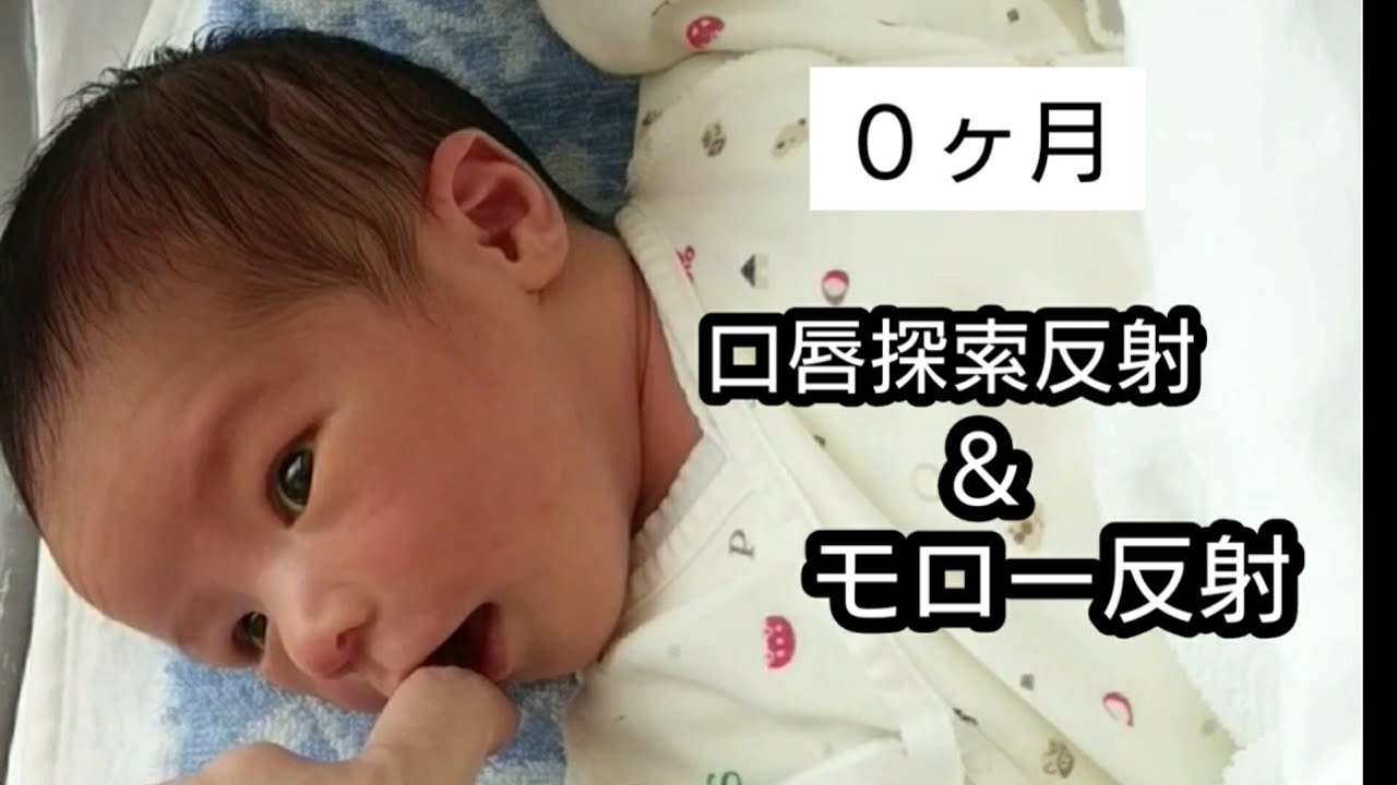 ０ヶ月のぼく。口唇探索反射とモロー反射