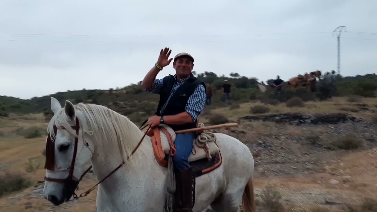 Ganadería 