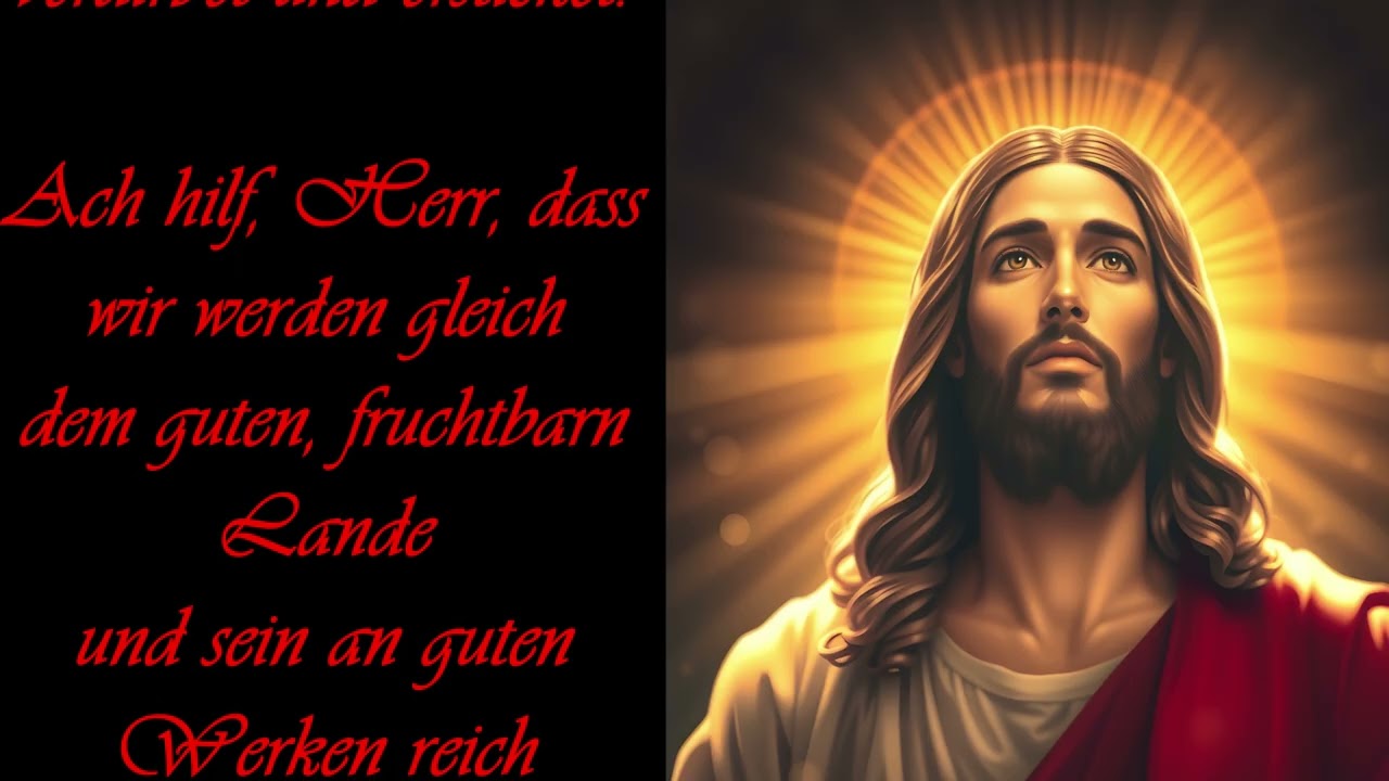 Herr, für Dein Wort sei hoch gepreist