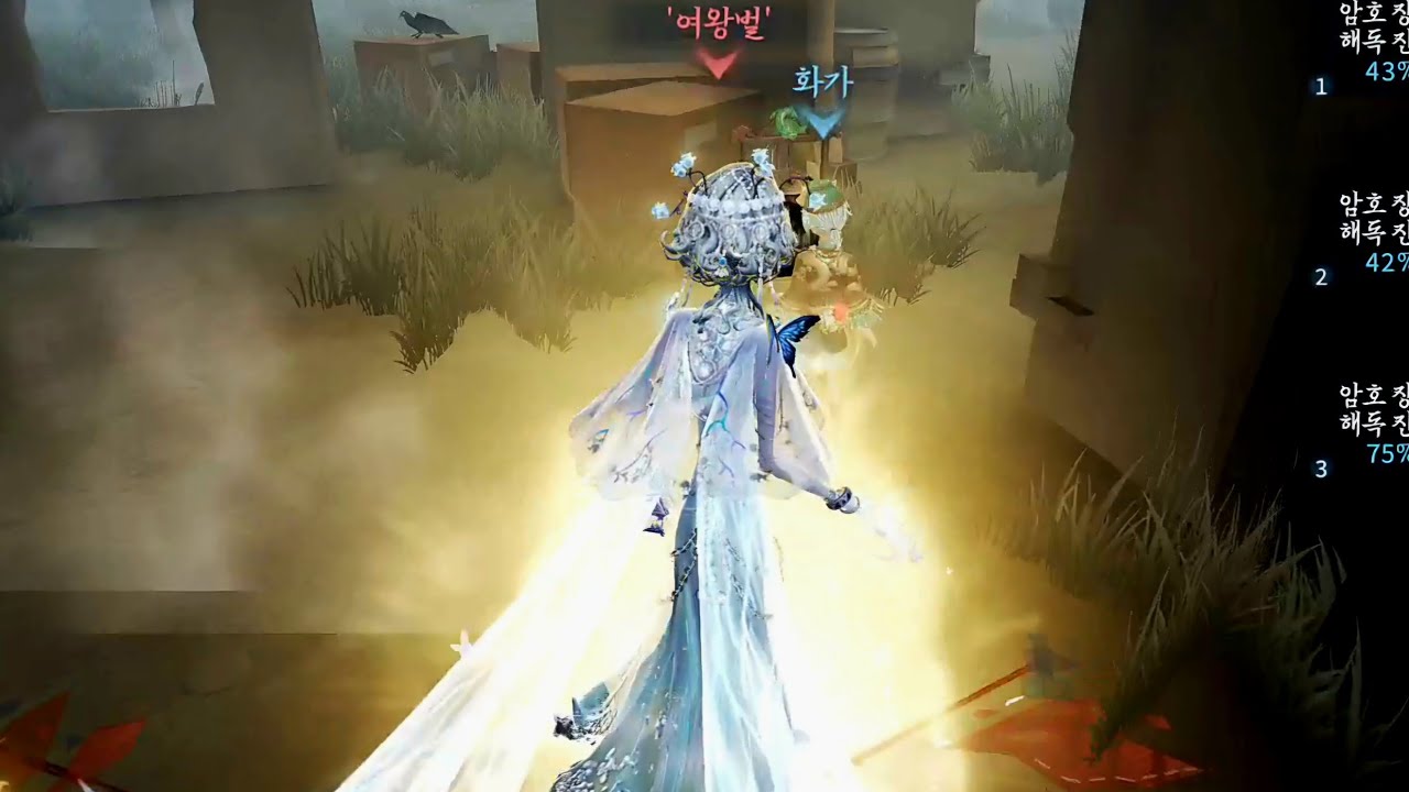 카키리 여왕벌 관전