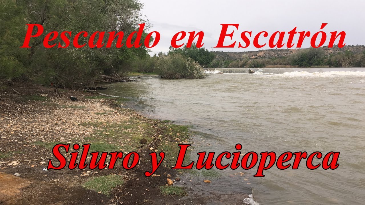 Jornada a Spinning en Escatrón. Pescando Siluros y Luciopercas