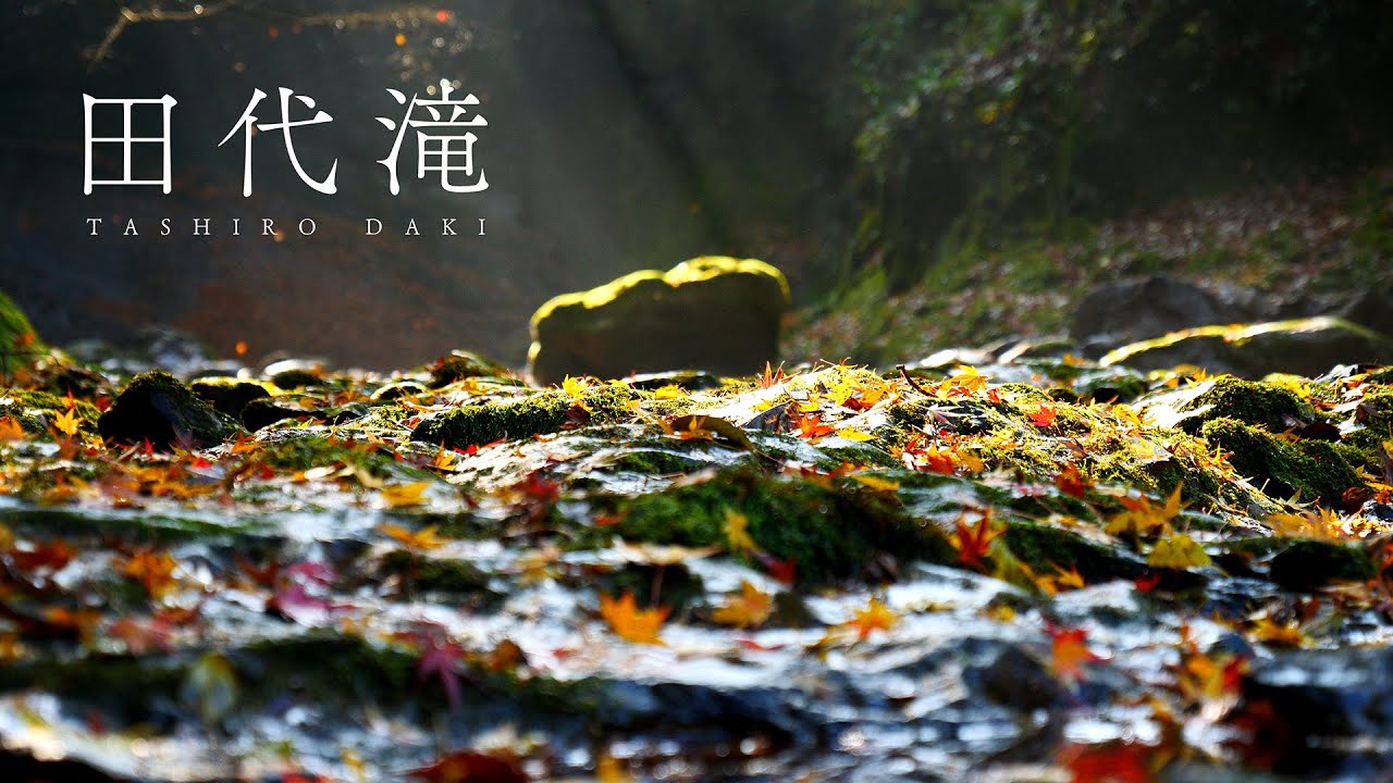 田代滝 TASHIRO-DAKI(waterfall) Japan／LUMIX GH5 LEICA12-60 4K 30P 422 10bit