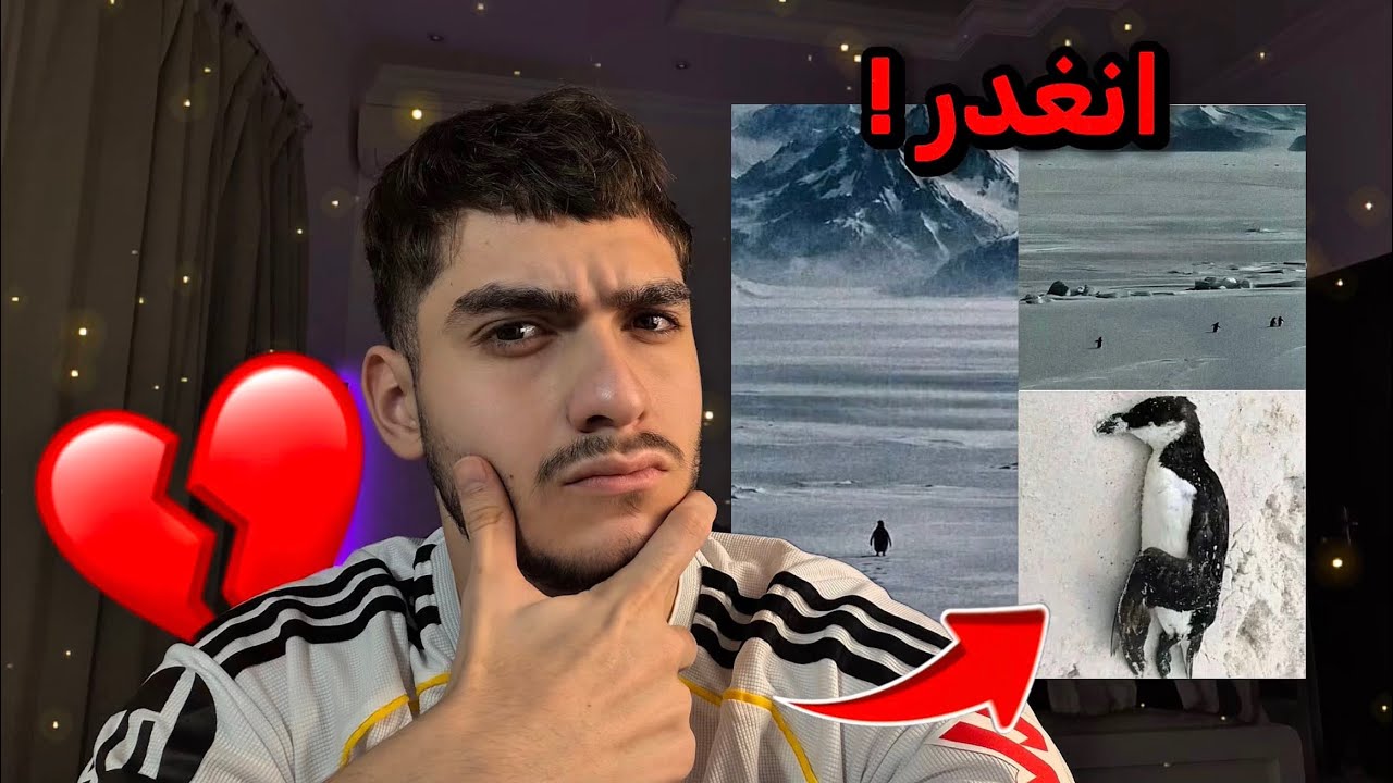 قصة أشهر فيديو في 2026 ! ( مؤثر جداً ) 💔🐧