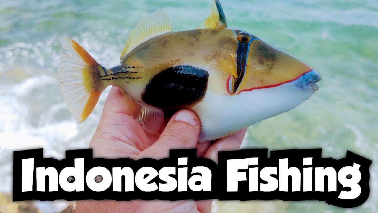 First Fishing Session on Bali | Indonesia Fishing 🇮🇩