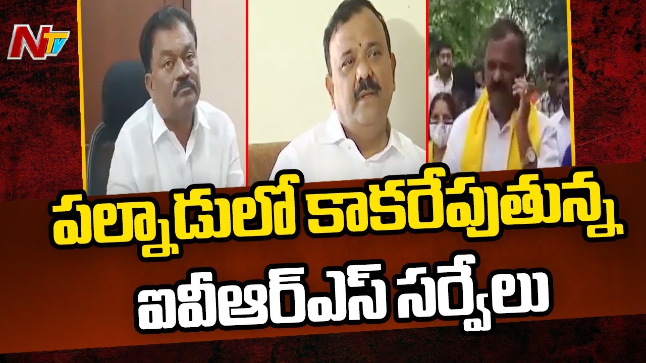 Yarapathineni Srinivas To Contest From Narasaraopet..? | Ntv