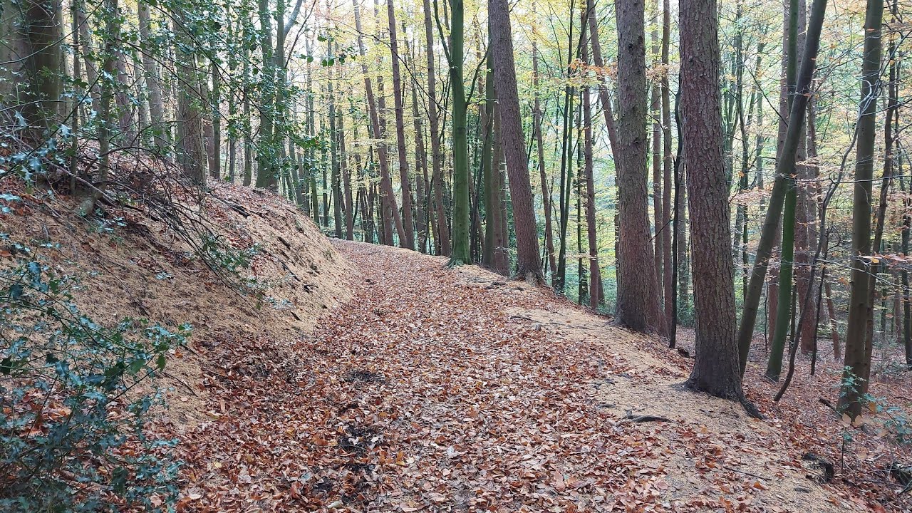 Run through Moss Valley & Eckington Woods. View of footpaths.