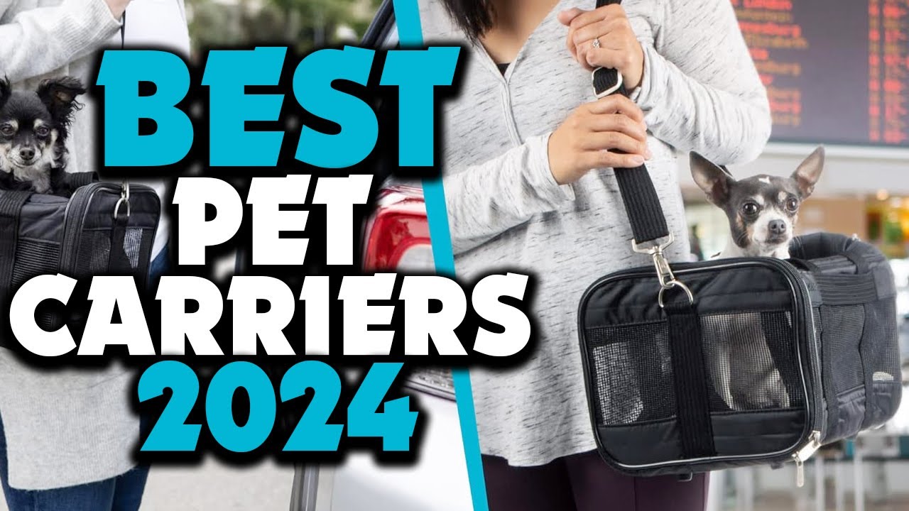 ✅ Top 5 Best Airline Approved Pet Carriers Review in 2025