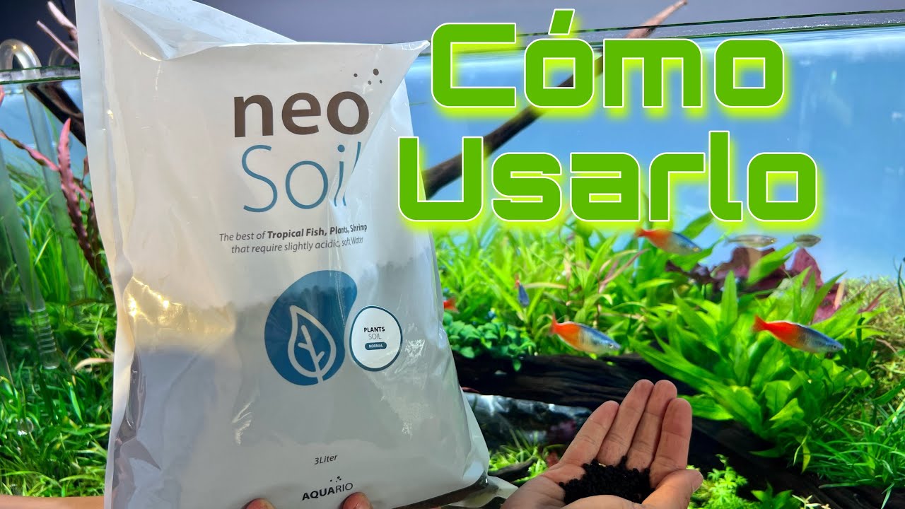 Cómo usar el sustrato nutritivo Neo Soil