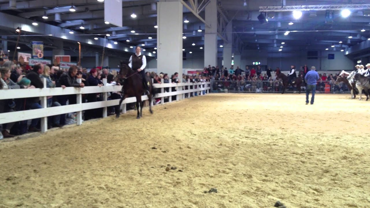 Pferd & Jagd 2014 Hannover: Vorführung der Gangpferde