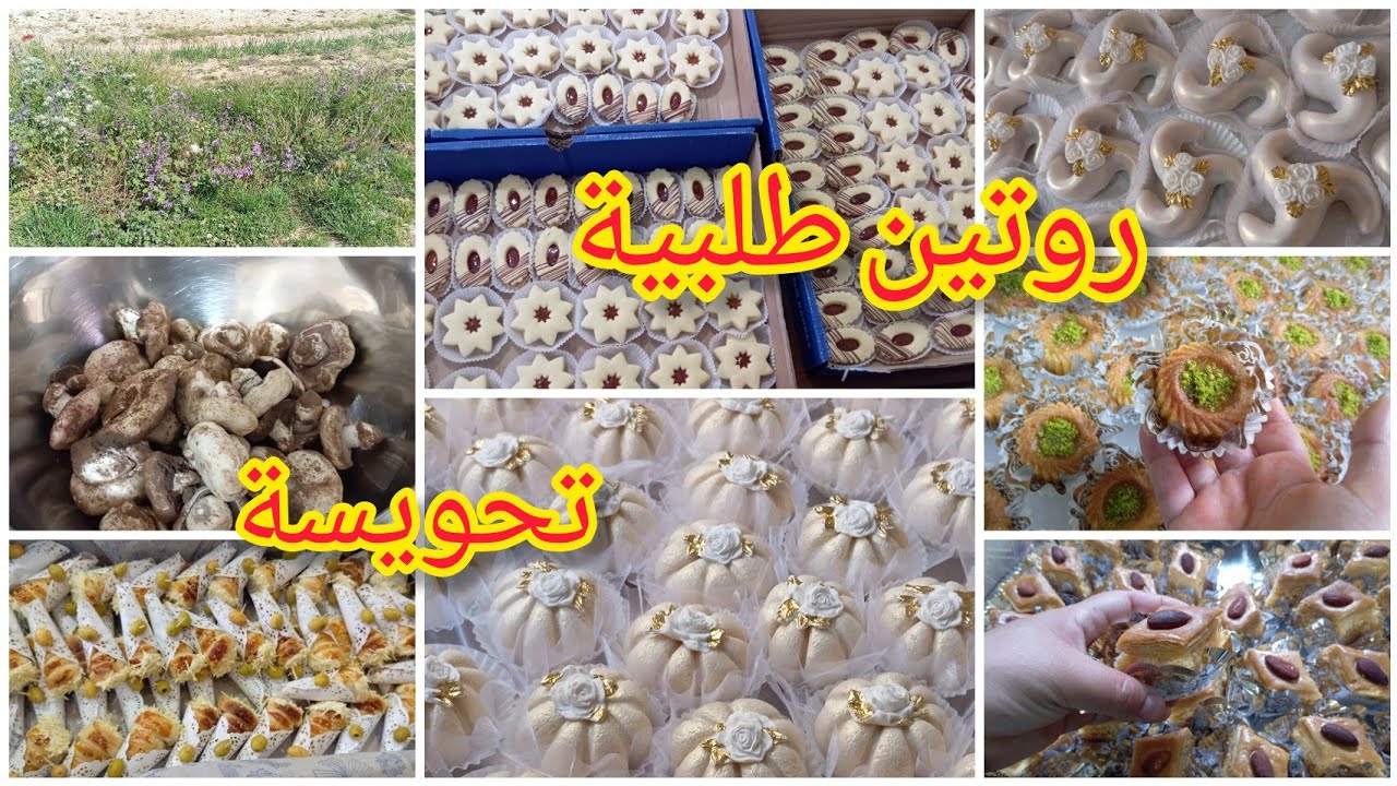 فيديو متنوع طلبيات وتحويسة🥰♥️
