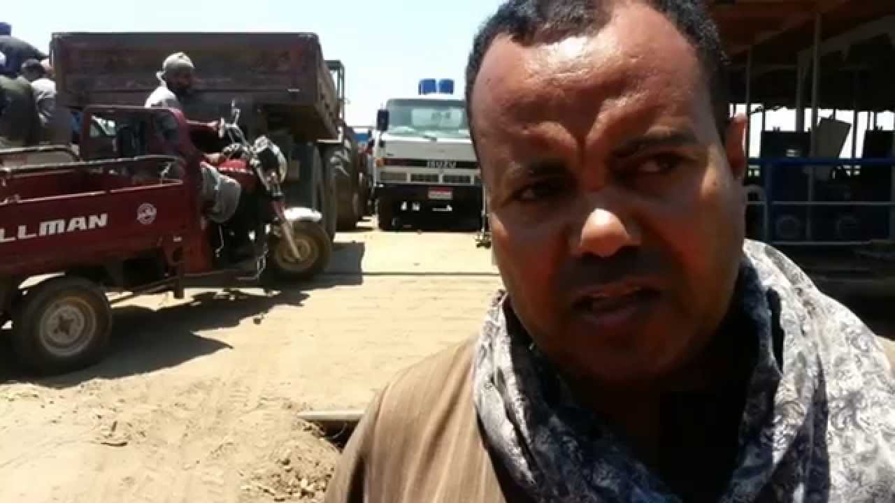 العوامة النهرية خطر يهدد آهالى قرية المعابدة بأسيوط