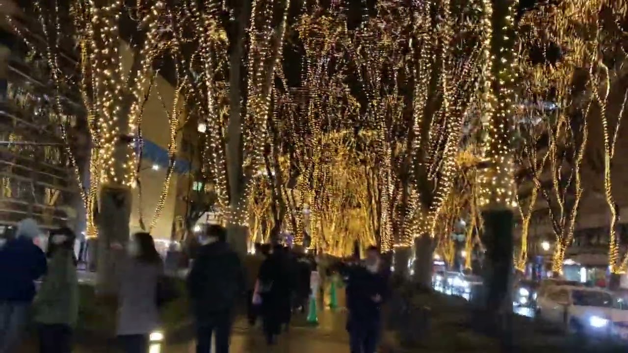 Christmas Sparkle #MiyagiJapan