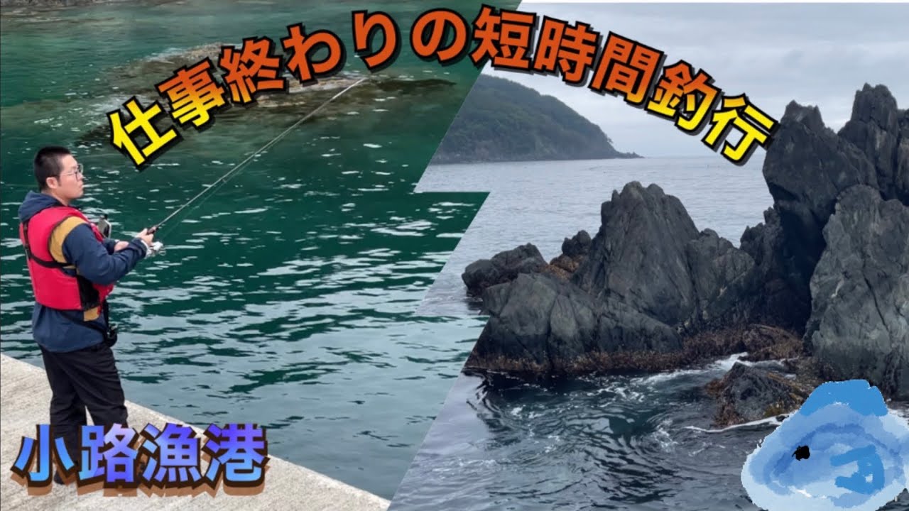 【小路漁港】仕事終わりの短時間釣行🎣約３時間で何か釣れるのか🐟〈catch and eat〉