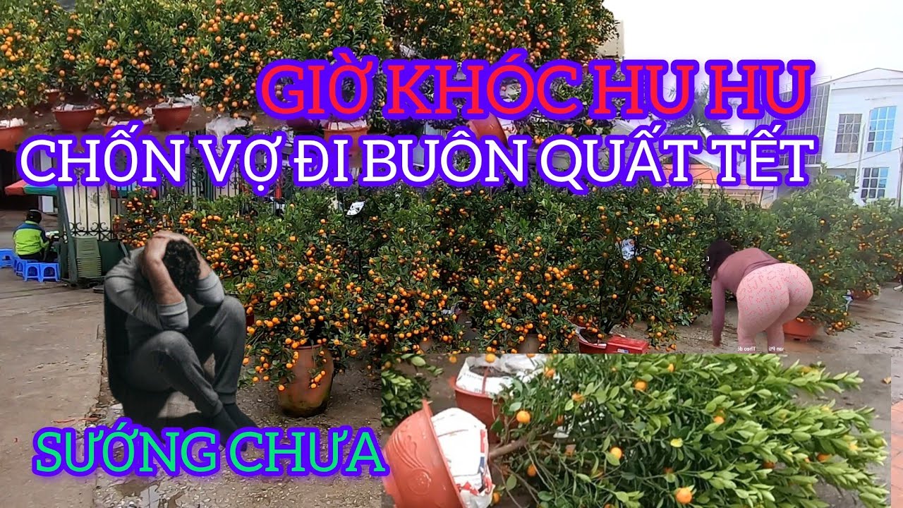CHỐN VỢ ĐI BUÔN QUẤT TẾT GIỜ KHÓC NHƯ TRẺ CON SƯỚNG CHƯA 