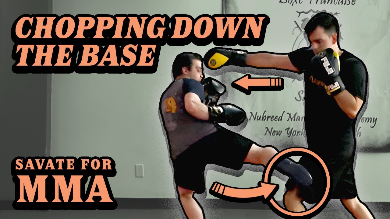 Savate Leg Kick Tactics. Applying Low Kicks From Versatile Angles.