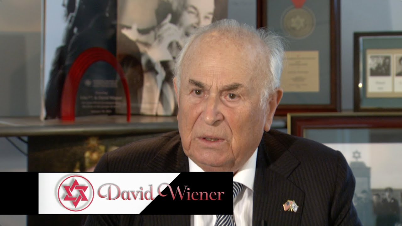 David Wiener Biography