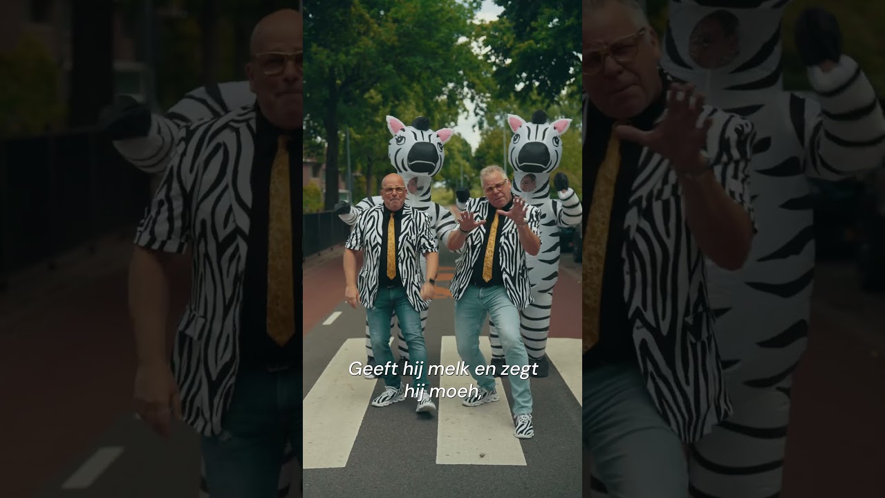 Lawineboys - Zebra (Teaser) #shorts