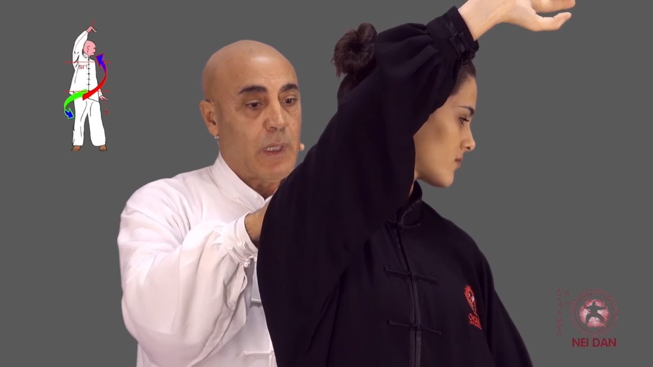 Nei Gong Vol. 1 La Forza Elastica 2a parte - Flavio Daniele - Tai Chi online - Area download video