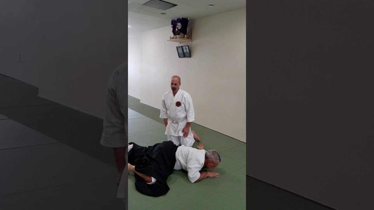 Goldberg Sensei Daito Ryu Techniques Student