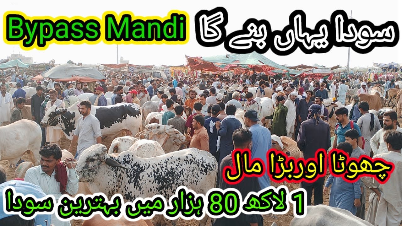 Bypass Mandi | Sirf 1 Lakh 80 Hazar Me Soda | Today Mandi Update 2025 | Sasta janwer