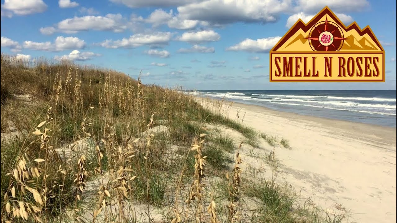 Backpacking False Cape State Park, Virginia PART 1