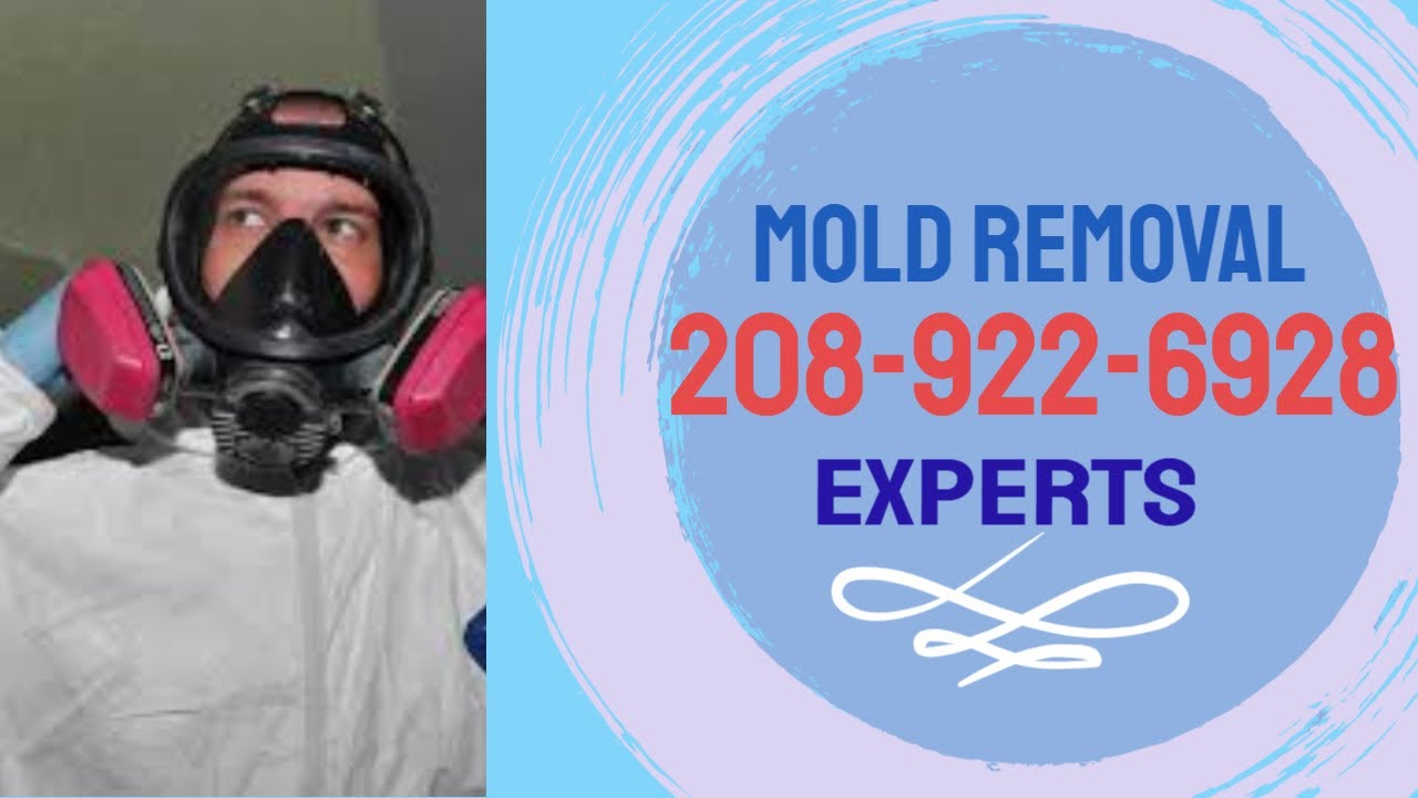 Black Mold Removal Eagle Id Eagle Idaho - Are You Searching For A Black Mold Removal Eagle Id !?