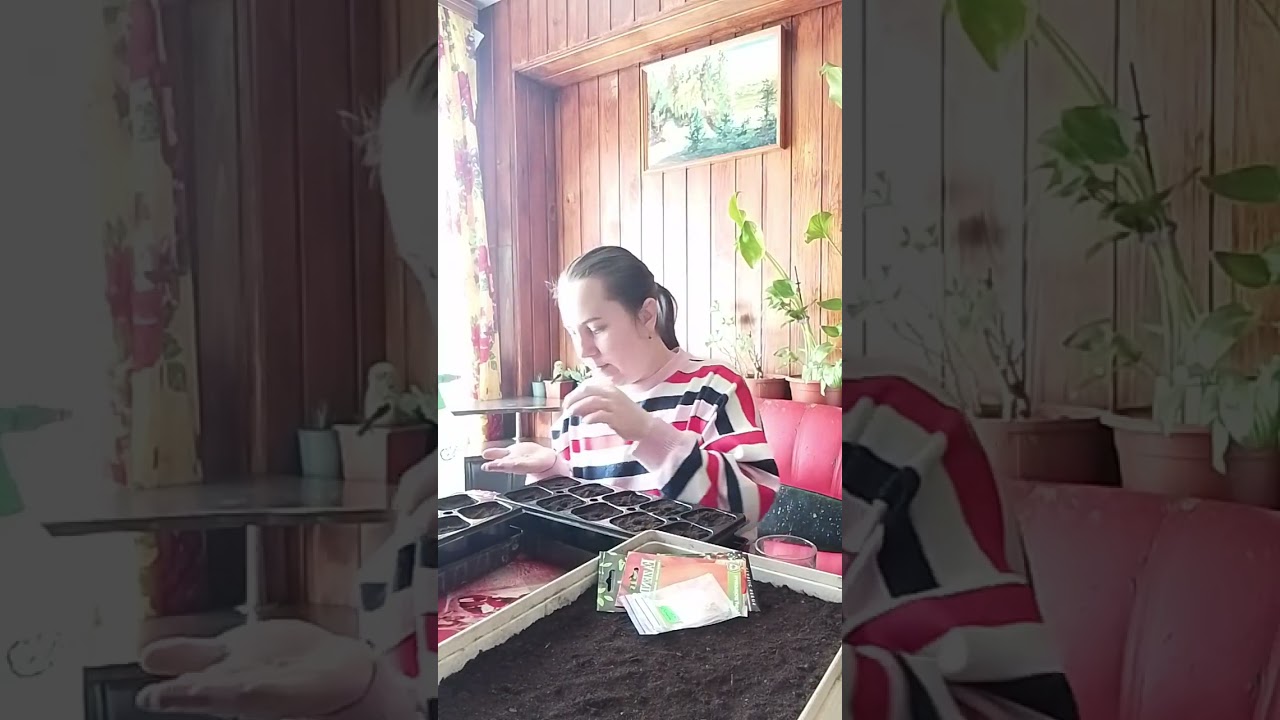 Посев перца на россаду. Как сажаю я.#перецболгарский #розсада #посевсемян 